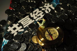 共享經(jīng)濟(jì) 賠錢(qián)賺吆喝背后的戰(zhàn)略布局與軟件開(kāi)發(fā)新機(jī)遇